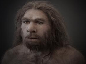 néandertal